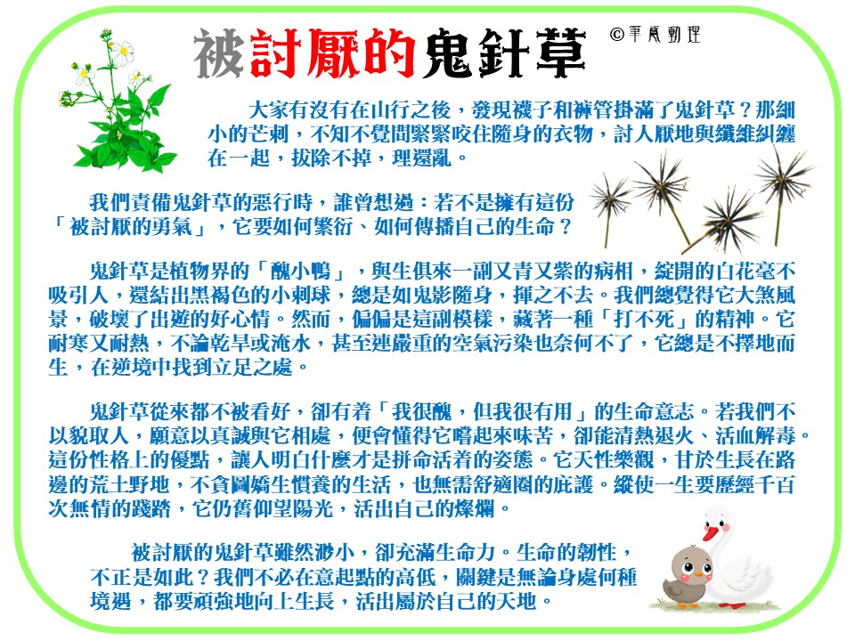 被討厭的鬼針草
